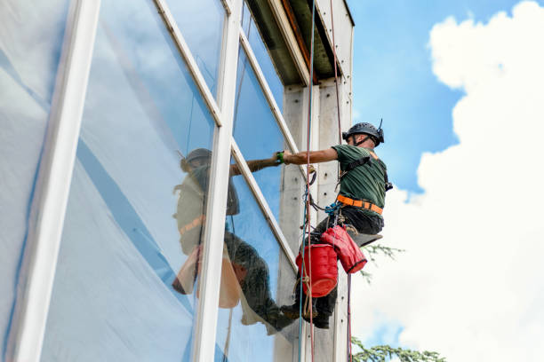 Best Hurricane Windows  in Suisun City, CA